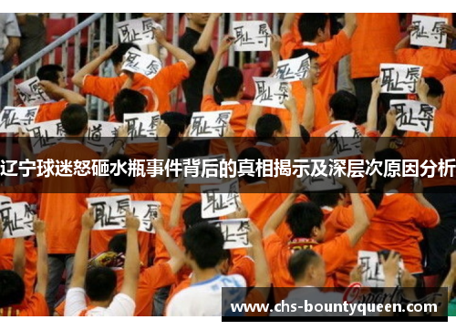 辽宁球迷怒砸水瓶事件背后的真相揭示及深层次原因分析 辽宁球迷怒砸水瓶事件背后的真相揭示及深层次原因分析