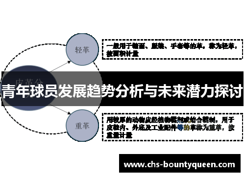 青年球员发展趋势分析与未来潜力探讨