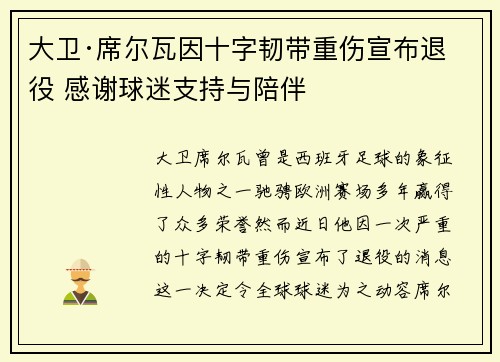 大卫·席尔瓦因十字韧带重伤宣布退役 感谢球迷支持与陪伴
