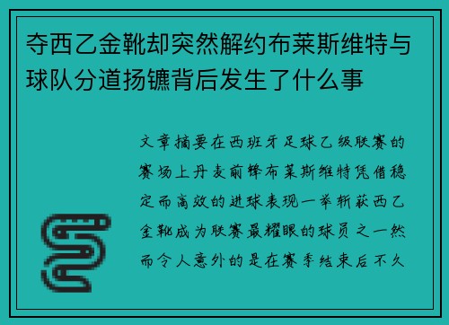 夺西乙金靴却突然解约布莱斯维特与球队分道扬镳背后发生了什么事 夺西乙金靴却突然解约布莱斯维特与球队分道扬镳背后发生了什么事